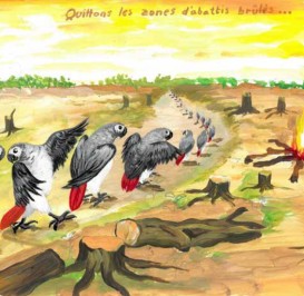 Panique dans la forêt